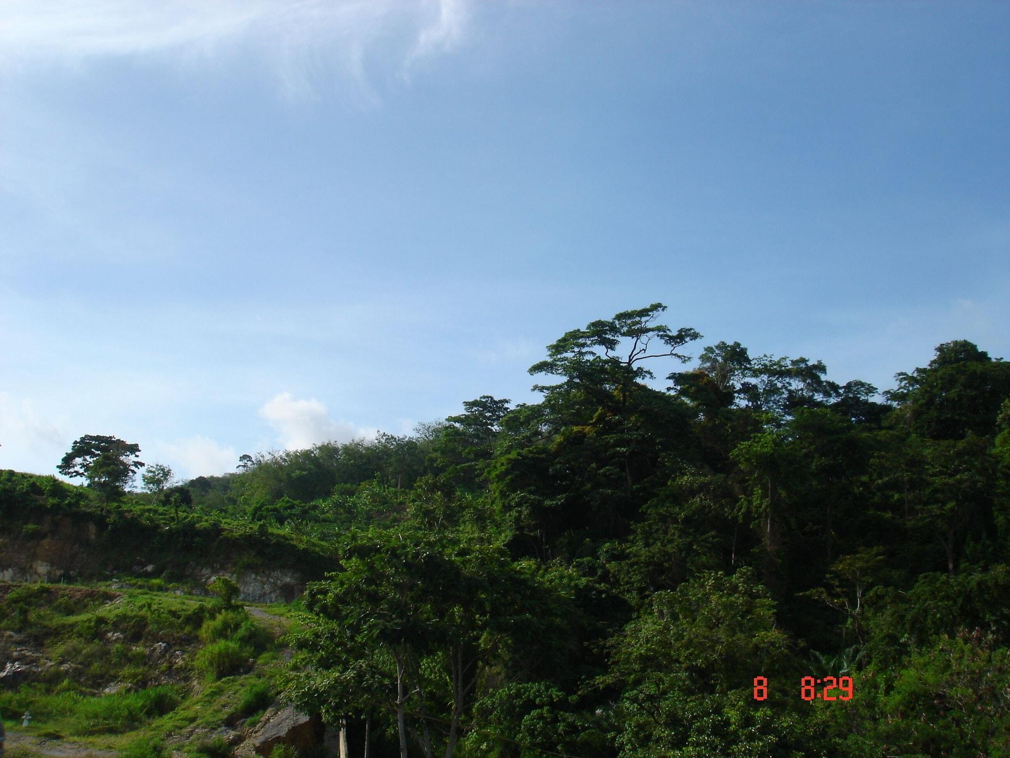 Lamai Affittacamere Patong